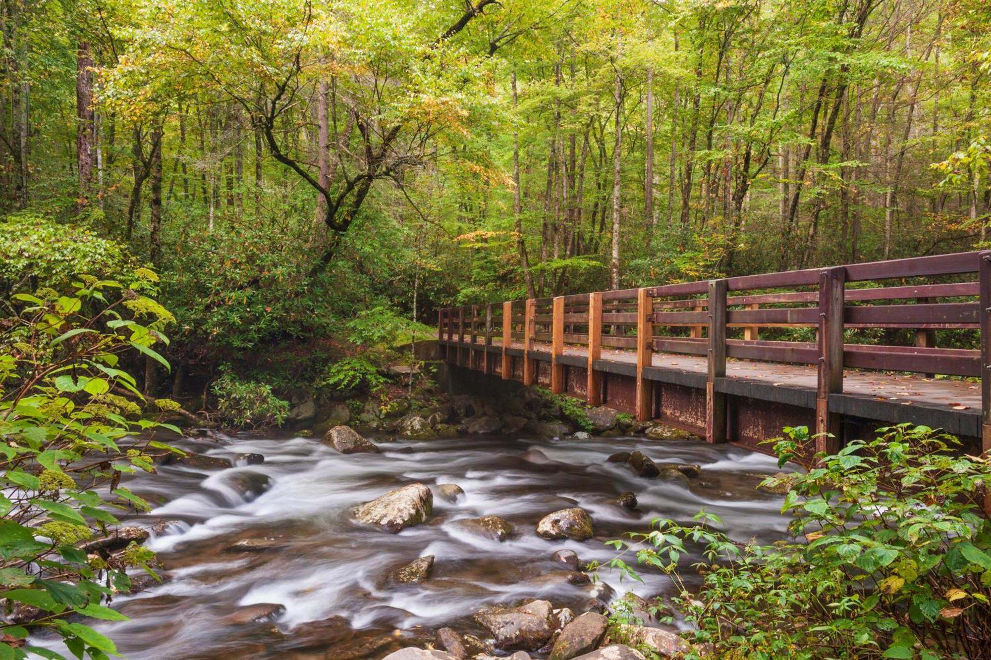 Chasing Fireflies Treehouse, 1089 Of Free Attraction Tickets For Each Paid Day, Dollywood And More! Sevierville Ngoại thất bức ảnh